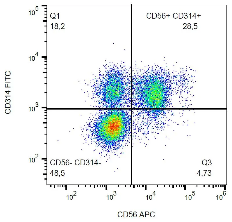 FACS analysis of human peripheral blood using GTX00469-06 NKG2D antibody [1D11] (FITC).