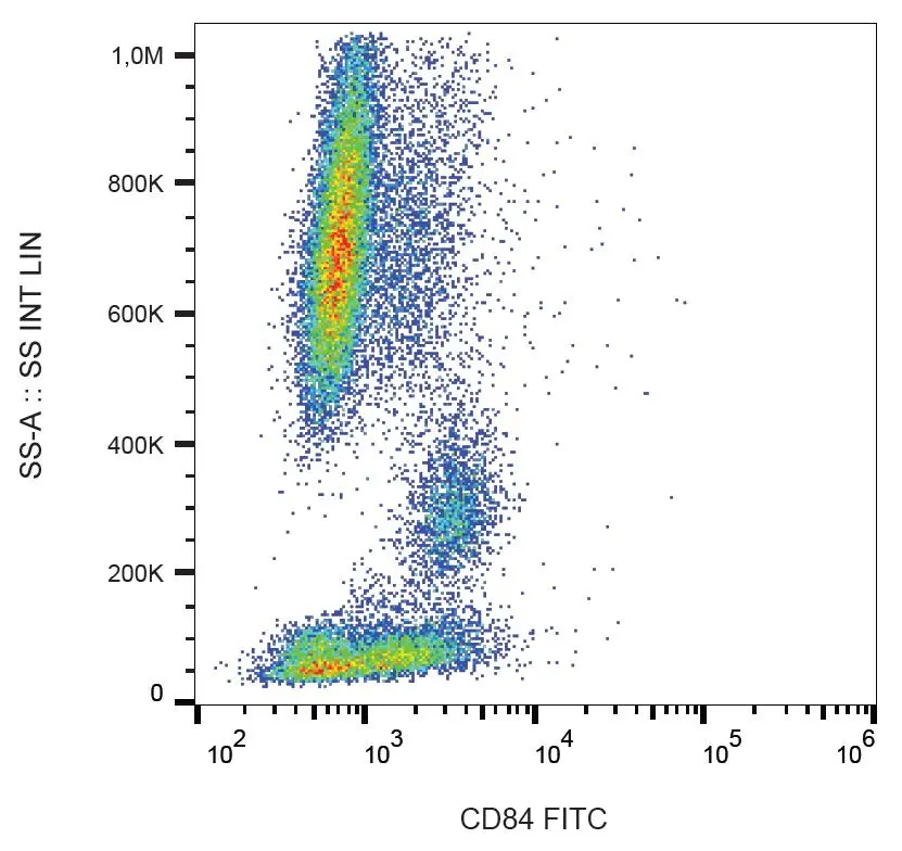 FACS analysis of human peripheral blood using GTX00476-06 CD84 antibody [CD84.1.21] (FITC).