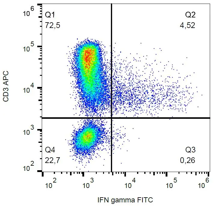 FACS (intracellular staining) analysis of PHA-activated human PBMC using GTX00484-06 Interferon gamma antibody [4S.B3] (FITC).
