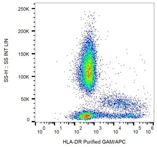 FACS analysis of human peripheral blood using GTX00505 HLA-DR antibody [L243].