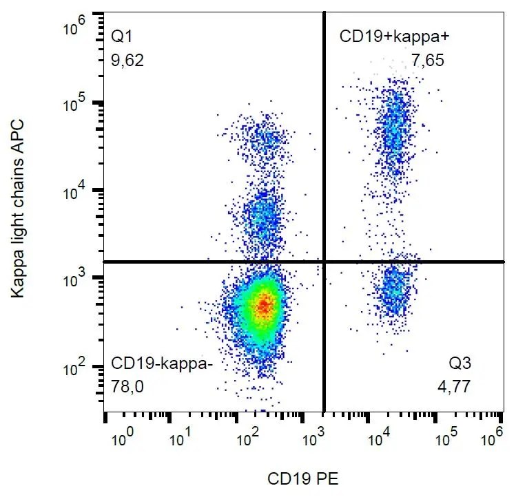 FACS analysis of human peripheral blood using GTX00506-07 Human kappa Light chain antibody [TB28-2] (APC).