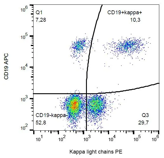 FACS analysis of human peripheral blood using GTX00506-08 Human kappa Light chain antibody [TB28-2] (PE).