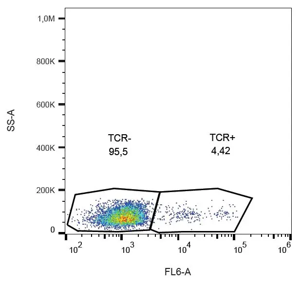 FACS analysis of human peripheral blood lymphocytes using GTX00507 TCR gamma + delta antibody [B1].