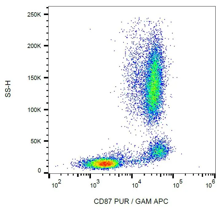 FACS analysis of human peripheral blood using GTX00512 uPAR antibody [VIM5].