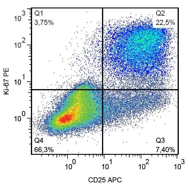 FACS analysis of human peripheral blood mononuclear cells stimulated with PHA using GTX00538-08 Ki67 antibody [Ki-67] (PE).