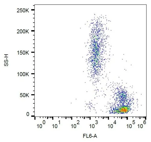 FACS analysis of human peripheral blood using GTX00540 ICAM2 antibody [CBR-IC2/2].