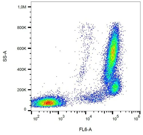 FACS analysis of human peripheral blood leukocytes using GTX00541-07 BST1 antibody [SY11B5] (APC).