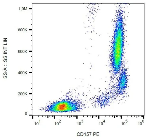 FACS analysis of human peripheral blood leukocytes using GTX00541-08 BST1 antibody [SY11B5] (PE).