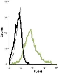 FACS analysis of THP-1 cells using GTX00627 KCNN4 antibody [6C1].<br>Black : Negative control<br>Gray : Isotype control<br>Green : Primary antibody<br>Dilution : 1:20