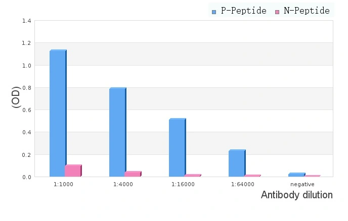 ELISA analysis of phospho- and non phosho- immunogen peptide using GTX00673 PERK (phospho Ser555) antibody.<br>P-peptide: phospho-peptide<br>N-peptide: non-phospho-peptide<br>Peptides concentration: 1?g/ml