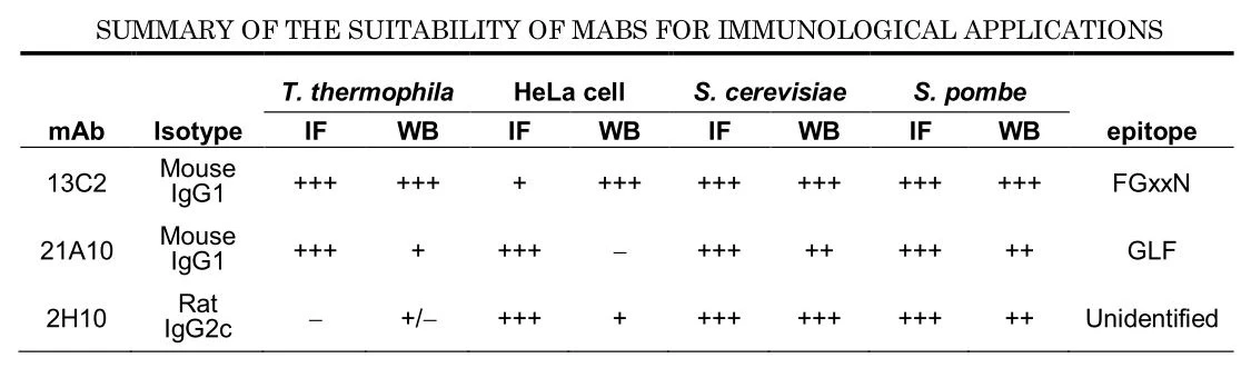 Summary of the suitability of GTX00693 NUP98 antibody [13C2], GTX00695 NUP98 antibody [21A10], or GTX00697 NUP98 antibody [2H10] for immunological applications.