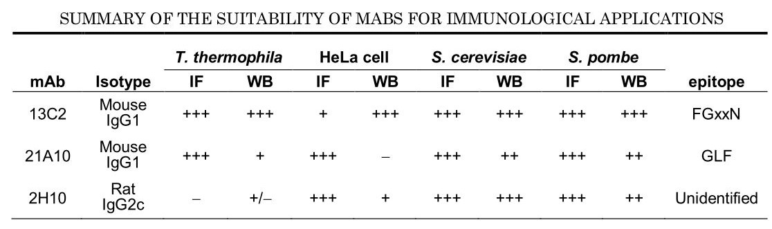 Summary of the suitability of GTX00693 NUP98 antibody [13C2], GTX00695 NUP98 antibody [21A10], or GTX00697 NUP98 antibody [2H10] for immunological applications.