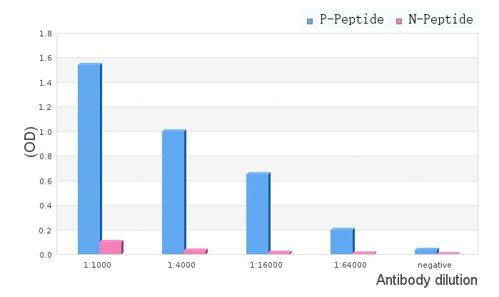 ELISA analysis of phospho- and non phosho- immunogen peptide using GTX00802 DARPP-32 (phospho Thr34) antibody.<br>P-peptide : phospho-peptide<br>N-peptide : non-phospho-peptide<br>Peptides concentration : 1?g/ml