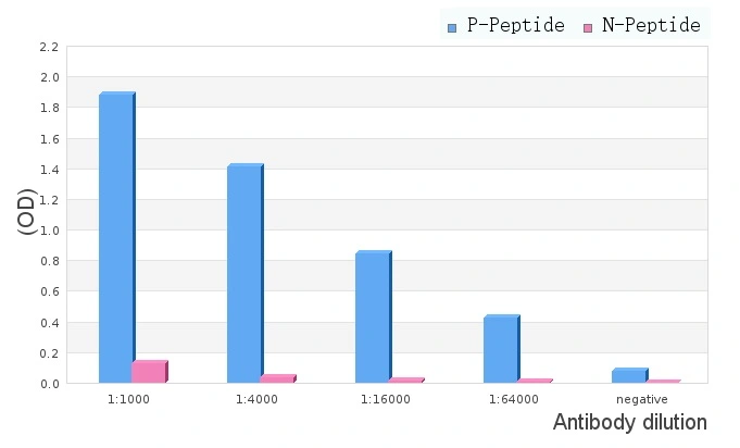 ELISA analysis of phospho- and non phosho- immunogen peptide using GTX00804 TrkB (phospho Tyr516) antibody.<br>P-peptide : phospho-peptide<br>N-peptide : non-phospho-peptide<br>Peptides concentration : 1?g/ml