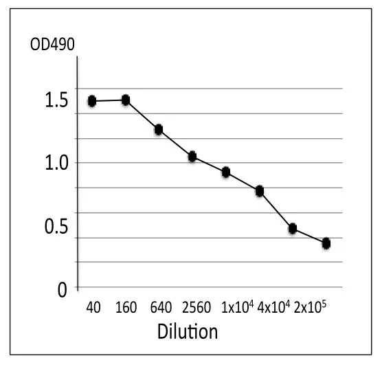 ELISA analysis of culture medium of V. parahaemophilus trh+ using GTX00855 Vibrio parahaemolyticus TRH Toxin antibody [vp-01]. Protein coating amount : 100microl (1 microg/ml) per well Antibody amount : 100microl at indicated dilution