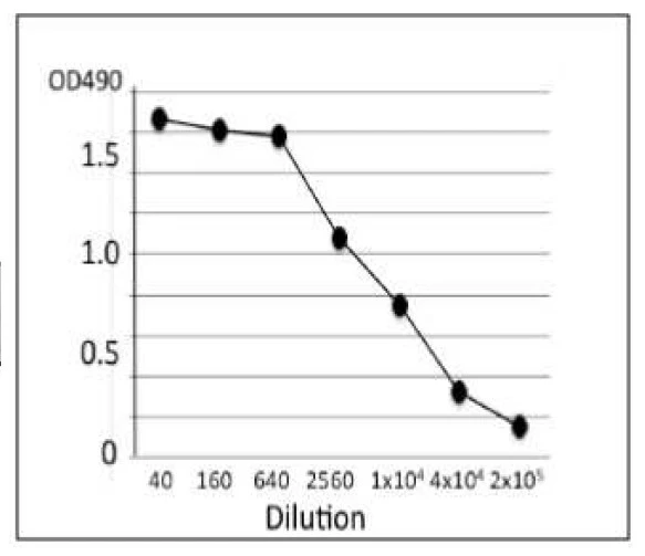 ELISA analysis of crude extract of S. Enteritidis using GTX00861 Salmonella enteritidis LPS antibody [se-1]. Protein coating amount : 100microl (1 microg/ml) per well Antibody amount : 100microl at indicated dilution