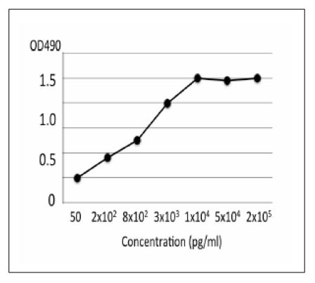 ELISA analysis of extract of ETEC cells using GTX00862 E. coli Labile Toxin A antibody [ec-01].<br>Protein coating amount : 100?l per well at indicated amount<br>Antibody amount : 100?l (1:500) per well