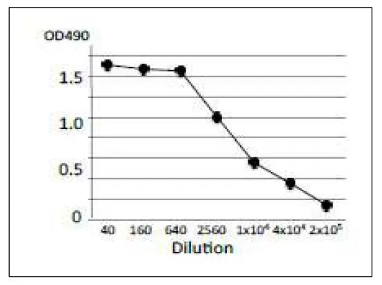 ELISA analysis of crude extract of E.coli O157:H7 using GTX00863 Verotoxin / Shiga toxin (SLT-1 + SLT-2) subunit A antibody [vero-01]. Protein coating amount : 100microl (1 microg/ml) per well Antibody amount : 100microl at indicated dilution
