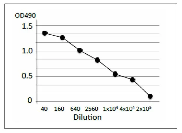 ELISA analysis of crude extract of Campylobacter jejuni using GTX00867 Campylobacter Porin antibody [cj-01]. Protein coating amount : 100microl (1 microg/ml) per well Antibody amount : 100microl at indicated dilution