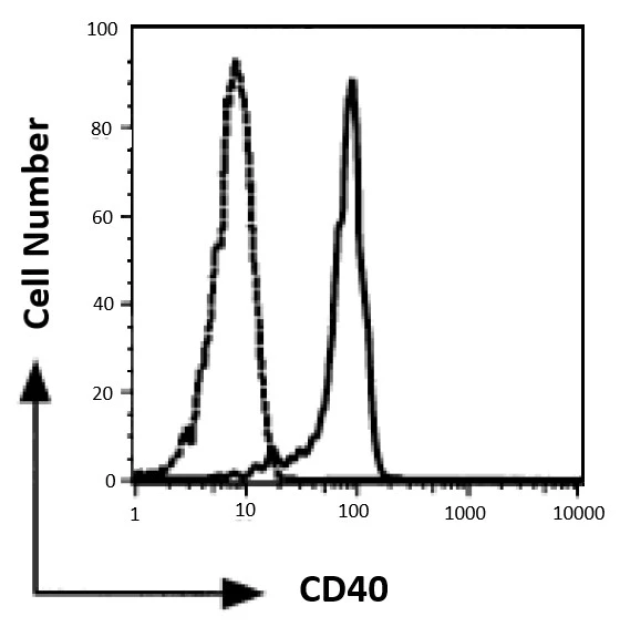 FACS analysis of monocyte-derived dendric cells from healthy adult donor using GTX00875 CD40 antibody [5C3]. Solid line : Primary antibody Broken line : Isotype control