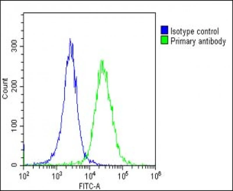 FACS analysis of HeLa cells using GTX01028 MGEA5 antibody. Green : Primary antibdoy Blue : Isotype control Dilution : 1microg/1x10? cells Fixation : 2% paraformaldehyde (10 min) Permeabilization : 90% methanol for 10 min FACS analysis of HeLa cells using GTX01028 MGEA5 antibody. Green : Primary antibdoy Blue : Isotype control Dilution : 1microg/1x10? cells Fixation : 2% paraformaldehyde (10 min) Permeabilization : 90% methanol for 10 min