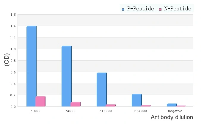 ELISA analysis of phospho- and non-phosho- immunogen peptide using GTX01075 Steroidogenic Factor 1 (phospho Ser203) antibody.<br>P-peptide : phospho-peptide<br>N-peptide : non-phospho-peptide<br>Peptides concentration : 1?g/ml