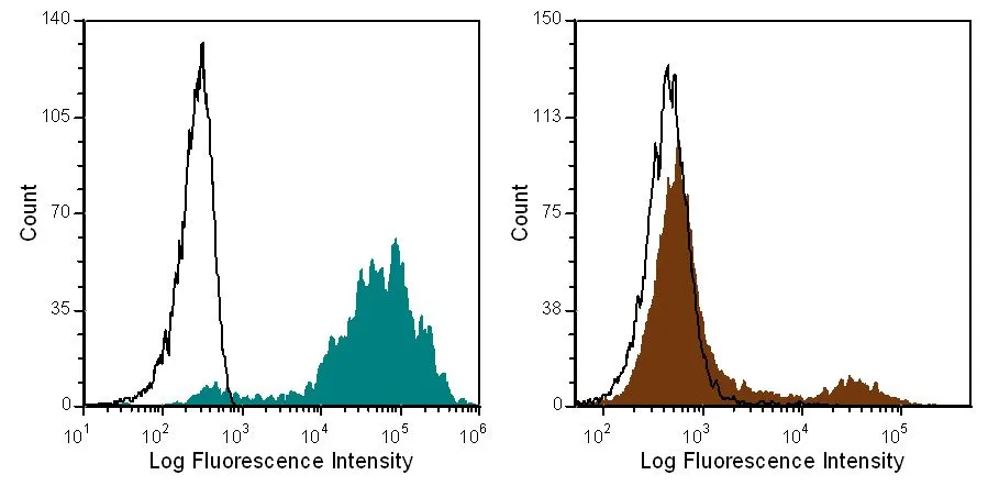FACS analysis of Balb/c whole blood (left) or bone marrow (right) cells using GTX01089 Erythroid Cell Ly76 antibody [TER119].<br>Filled histogram : Primary antibody<br>Open histogram : rat IgG2b isotype control