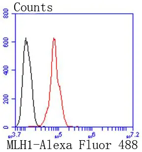 FACS analysis of HeLa cells using GTX01140 MLH1 antibody [SP08-04].<br>Red : primary antibody<br>Black : unlabelled control<br>Dilution : 1:50