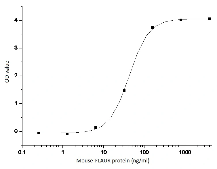 The protein binding activity was measured in a functional ELISA analysis of mouse PLAUR protein which can bind immobilized GTX01223-pro Human Urokinase protein.<br>Immobilized GTX01223-pro : 5 ?g/ml (100 ?l/well)<br>Mouse PLAUR protein : 1.6-40 ng/ml