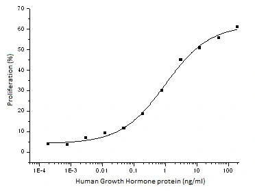 The protein activity of GTX01260-pro Human Growth Hormone protein was measured in a cell proliferation assay using INS-1 cells.<br>ED?? : 0.3-1.6 ng/ml