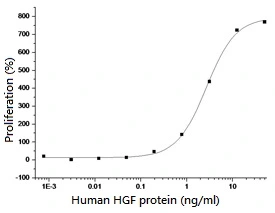 The protein activity of GTX01262-pro Human HGF protein was measured by its ability to neutralize TGF-beta mediated inhibition on Mv-1-Lu cell proliferation.<br>ED?? : 2-10 ng/ml