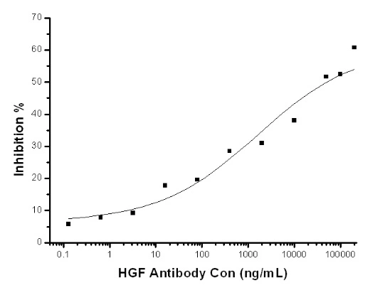 Proliferation of U87-MG cells elicited by autocrine HGF was inhibited by increasing concentrations of GTX01262 HGF antibody [mh010].<br>IC?? : 1-4 ?g/ml.