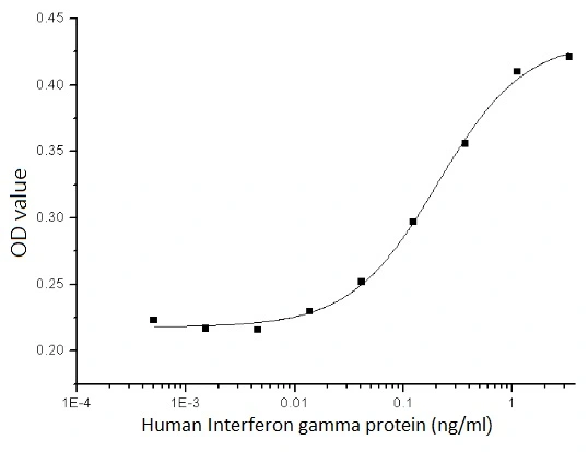 The protein activity of GTX01264-pro Human Interferon gamma protein was measured in antiviral assays using WISH cells infected with VSV (vesicular stomatitis virus).<br>ED?? : 0.1-0.5 ng/ml