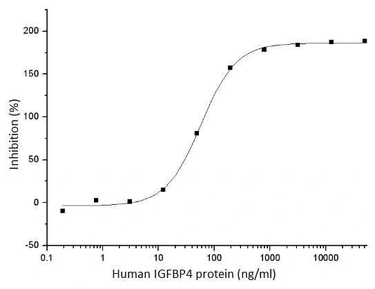The protein activity of GTX01267-pro Human IGFBP4 protein was measured by its ability to inhibit the biological activity of IGFI or IGF-II on MCF-7 cells.<br>ED?? : 0.04-0.4 ?g/ml in the presence of 14 ng/ml human IGF-II protein