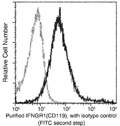 FACS analysis of mouse splenocytes using GTX01442 Interferon gamma Receptor 1 antibody [062].<br>The fluorescence histograms were derived from gated events with the forward and side light-scatter characteristics of intact cells.