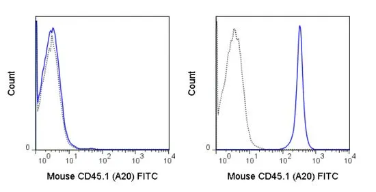 FACS analysis of mouse C57Bl/6 (left panel) or SJL (right panel) splenocytes using GTX01463-06 CD45.1 antibody [A20] (FITC).<br>Solid lone : primary antibody<br>Dashed line : isotype control<br>antibody amount : 0.125 ?g (5 ?l)