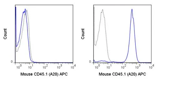 FACS analysis of mouse C57Bl/6 (left panel) or SJL (right panel) splenocytes using GTX01463-07 CD45.1 antibody [A20] (APC).<br>Solid lone : primary antibody<br>Dashed line : isotype control<br>antibody amount : 0.5 ?g (5 ?l)