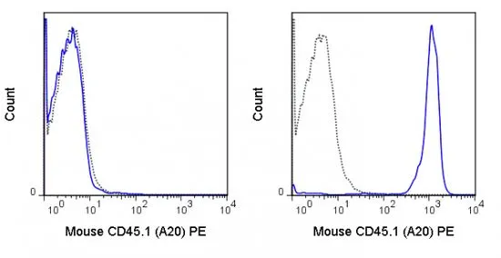FACS analysis of mouse C57Bl/6 (left panel) or SJL (right panel) splenocytes using GTX01463-08 CD45.1 antibody [A20] (PE).<br>Solid lone : primary antibody<br>Dashed line : isotype control<br>antibody amount : 0.5 ?g (5 ?l)