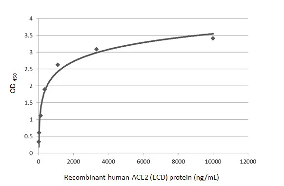 Functional ELISA analysis of immobilized recombinant SARS-CoV-2 (COVID-19) Spike RBD protein, His tag (active) (GTX01546-pro) (coated at 2 &#956;g/mL) binding to soluble recombinant Human ACE2 (ECD) protein , mouse IgG Fc tag (GTX135683-pro) (4.5-10000 ng/mL). Bound protein was detected by ACE2 antibody [N1N2], N-term (GTX101395) (0.5 &#956;g/mL) and Rabbit IgG antibody (HRP) (GTX213110-01) (1:10000) detected bound primary antibody.