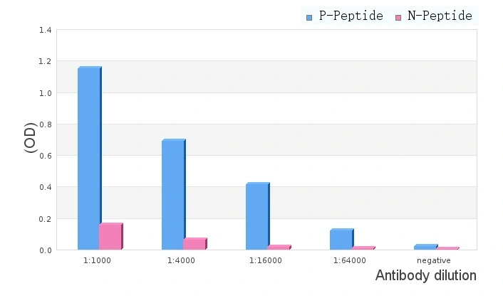 ELISA analysis of phospho- and non phosho- immunogen peptide using GTX01567 DRP1 (phospho Ser637) antibody. P-peptide : phospho-peptide N-peptide : non-phospho-peptide Peptides concentration : 1microg/ml ELISA analysis of phospho- and non phosho- immunogen peptide using GTX01567 DRP1 (phospho Ser637) antibody. P-peptide : phospho-peptide N-peptide : non-phospho-peptide Peptides concentration : 1microg/ml