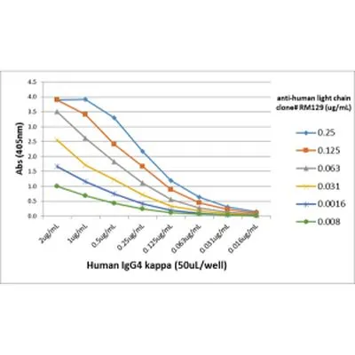ELISA analysis of different amounts of human IgG4? using serial dilution of GTX01571 Human Ig Light chain antibody [RM129].