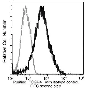 FACS analysis of Raw264.7 cells using GTX02022 FCGR4 antibody [012].<br>The histogram were derived from gated events with the forward and side light-scatter characteristics of intact cells.