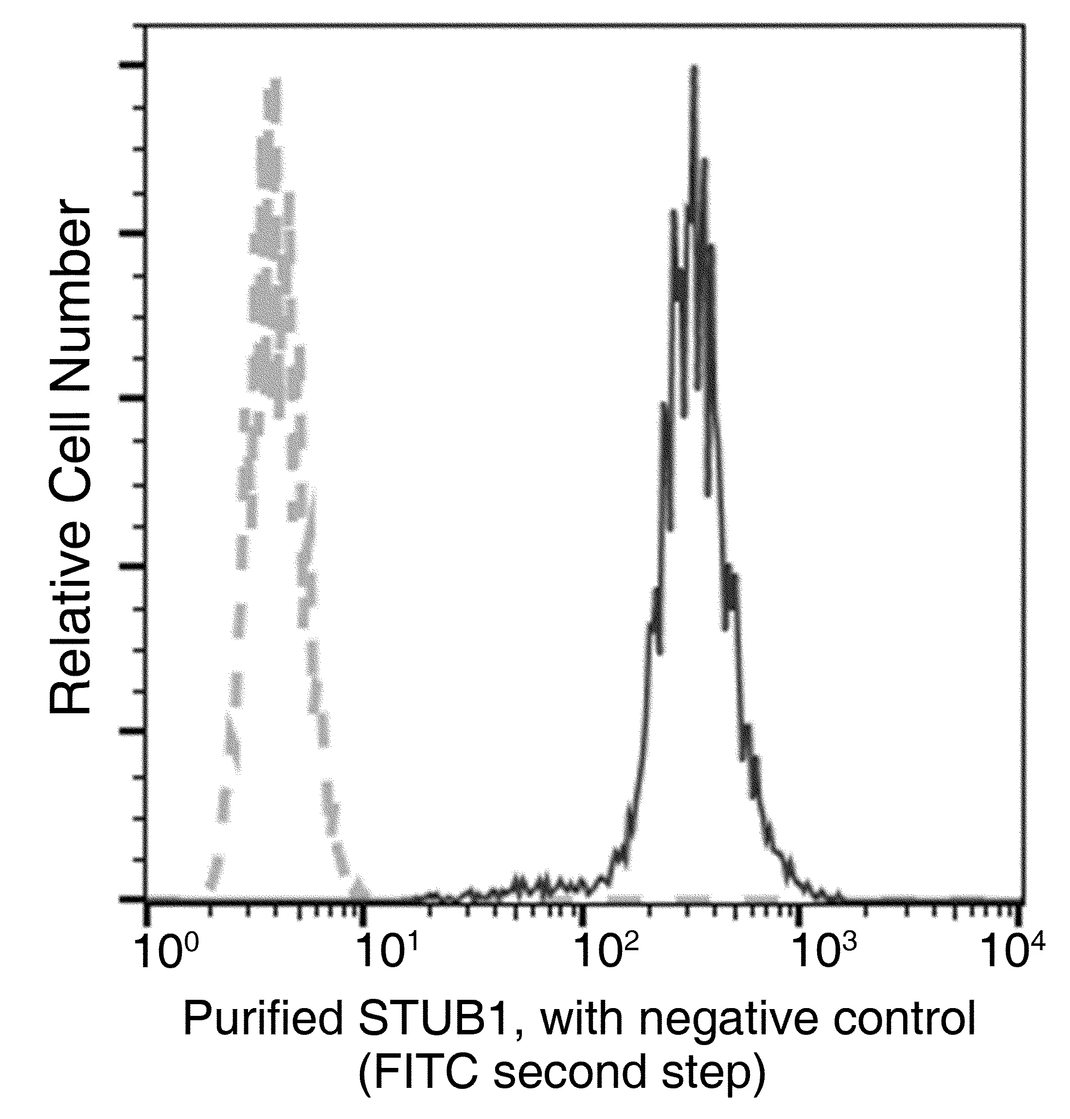 FACS analysis of HeLa cells using GTX02047 STUB1 antibody [034].<br>The fluorescence histograms were derived from gated events with the forward and side light-scatter characteristics of intact cells.