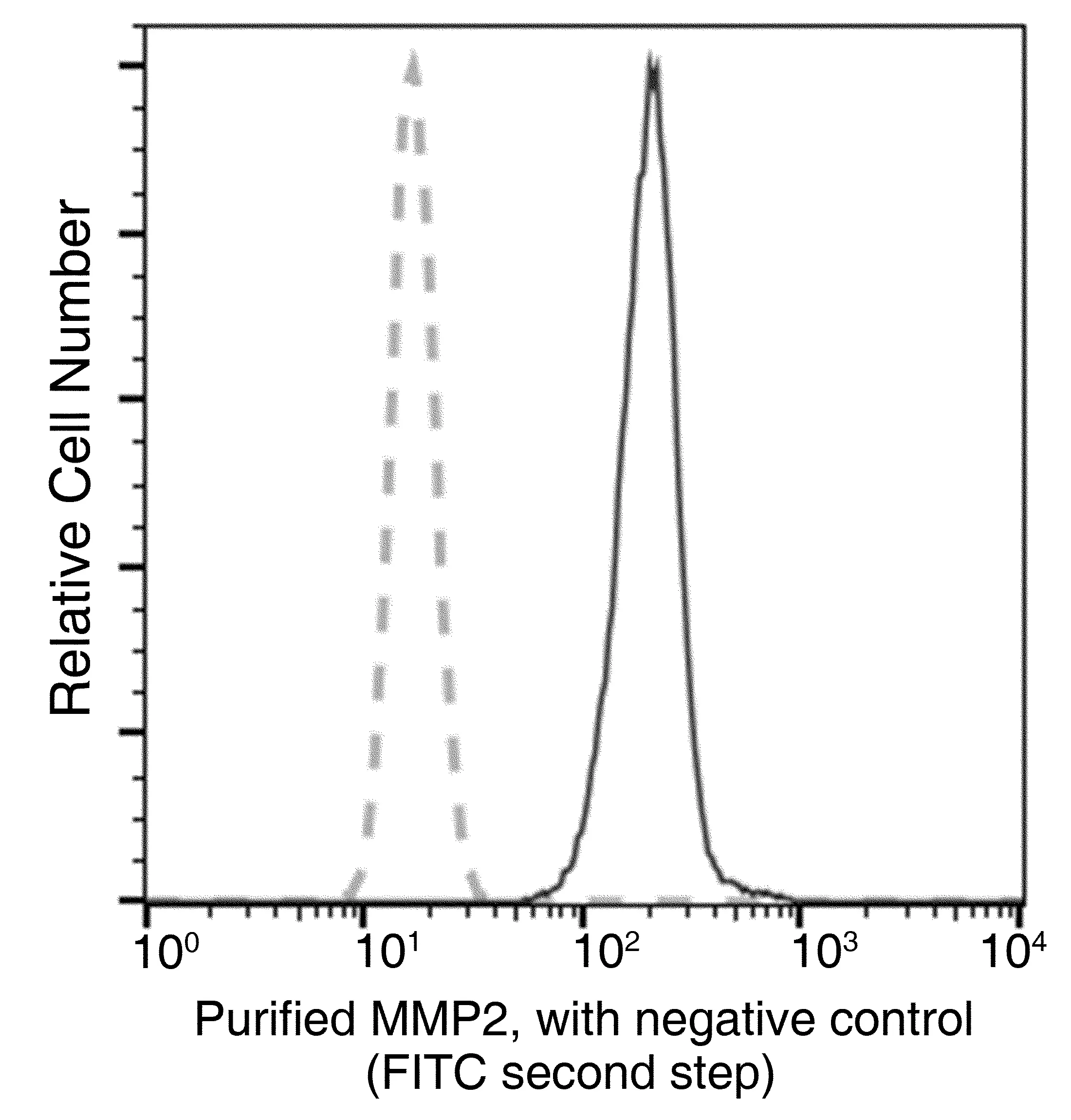 FACS analysis of MG-63 cells using GTX02066 MMP2 antibody [05].<br>The fluorescence histograms were derived from gated events with the forward and side light-scatter characteristics of intact cells.