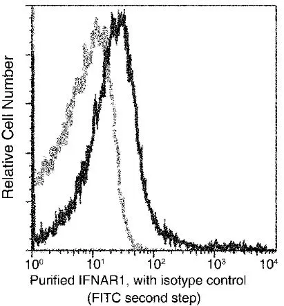 FACS analysis of mouse splenocytes using GTX02101 IFNAR1 antibody [110].<br>The fluorescence histograms were derived from gated events with the forward and side light-scatter characteristics of intact cells.