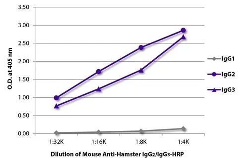 ELISA analysis of purified Armenian hamster IgG1, IgG2, and IgG3 using serially diluted GTX02568 Mouse Anti-Armenian Hamster IgG2/IgG3 antibody [SB139e] (HRP).