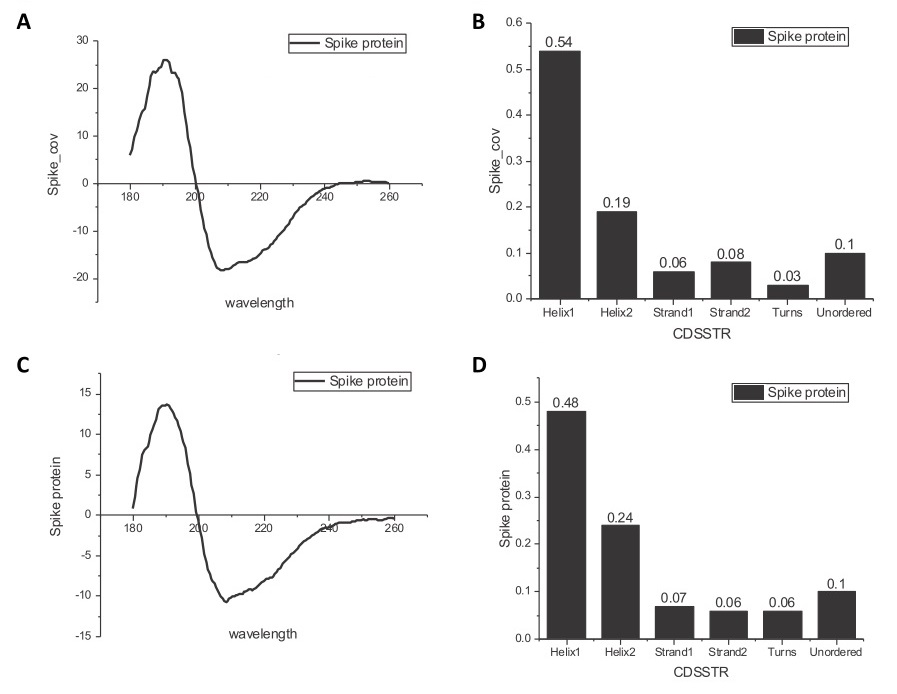 CD spectra of different cation forms of spike protein. The scanning fluorimetry data of the two batches shows the protein is both stable and functional, with heparin binding activity. A and C : CD spectra were recorded on J-1100 spectrometer between 180 and 260 nm of spike protein (0.5 mg/ml). B and D : Secondary structure were analysed by program CDSSTR of A and C, respectively. A and B : the first batch of spike protein (PBS buffer). C and D : the second batch of spike protein (PBS, 20% glycerol).