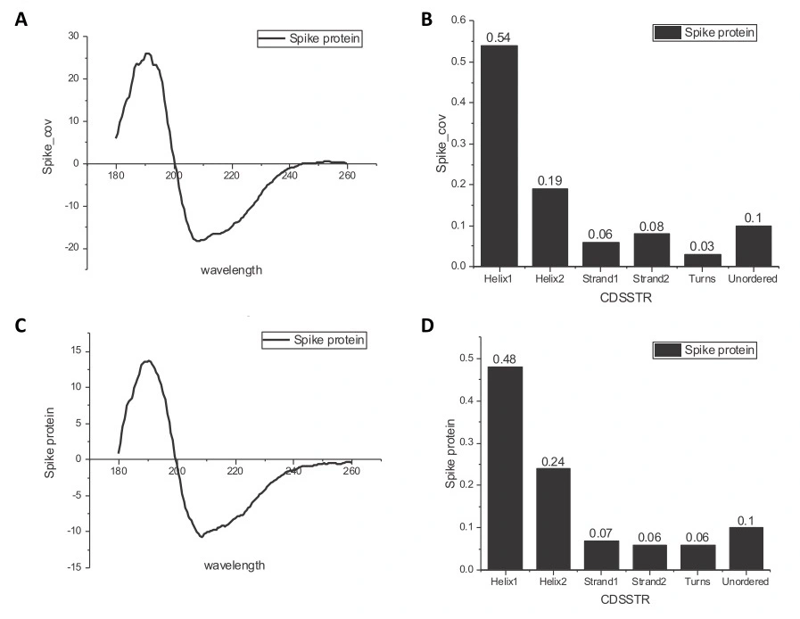 CD spectra of different cation forms of spike protein. The scanning fluorimetry data of the two batches shows the protein is both stable and functional, with heparin binding activity.<br>A and C : CD spectra were recorded on J-1100 spectrometer between 180 and 260 nm of spike protein (0.5 mg/ml).<br>B and D : Secondary structure were analysed by program CDSSTR of A and C, respectively.<br>A and B : the first batch of spike protein (PBS buffer).<br>C and D : the second batch of spike protein (PBS, 20% glycerol).