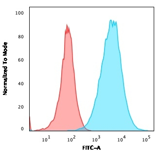 FACS analysis of A549 cells using GTX02703 S100A4 antibody [S100A4/2750R]. Blue : Primary antibody Red : Isotype control