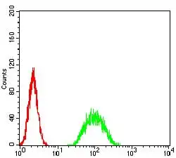 FACS analysis of A549 cells using GTX02812 ATF3 antibody [7F1B10]. Green : Primary antibody Red : Negative control